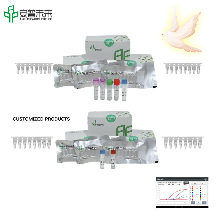 মীরা কলম্বিড হার্পিস ভাইরাস 1 ফ্লুরোসেন্স সনাক্তকরণ কিট