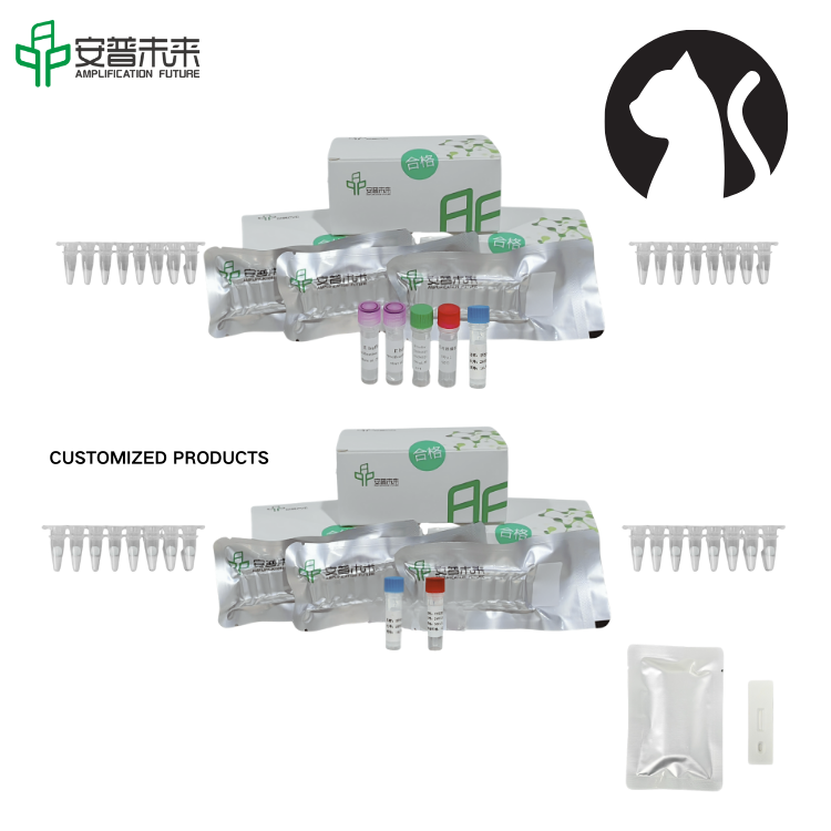 মীরা মাইকোপ্লাজমা ফেলিস নিউক্লিক অ্যাসিড টেস্ট স্ট্রিপ সনাক্তকরণ কিট