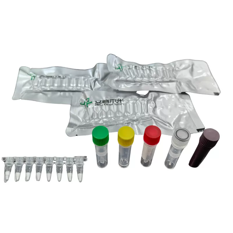 মীরা পোরসাইন সিউডোরাবিজ ভাইরাস জিই জিন ফ্লুরোসেন্স সনাক্তকরণ কিট